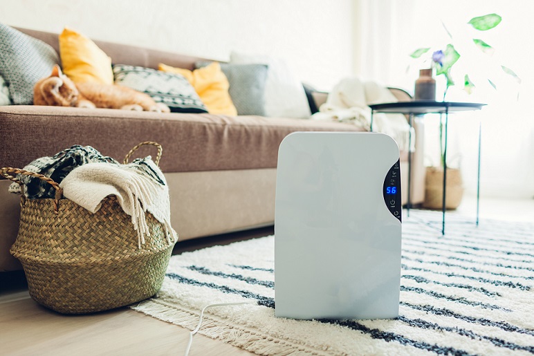 Improving your interior air quality